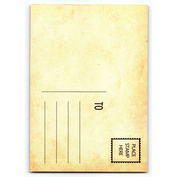 Vintage Halloween Postcard Two Girls with Jack O'Lanterns and Bats - Picture 2 of 2